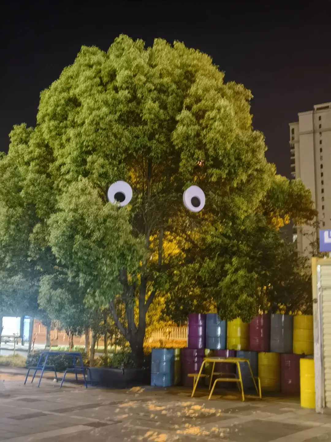 这就是纯情女大吗？(o´Д`o)ノ