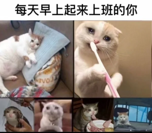 工作日也依然很敢穿！穿衣自由从我开始