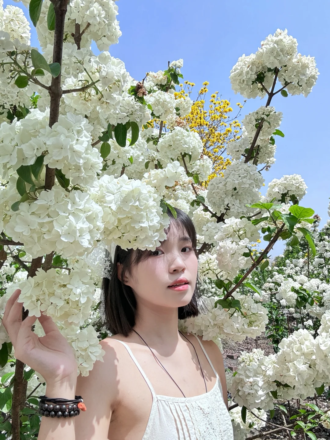拍照分享📸｜阳光是最好的滤镜