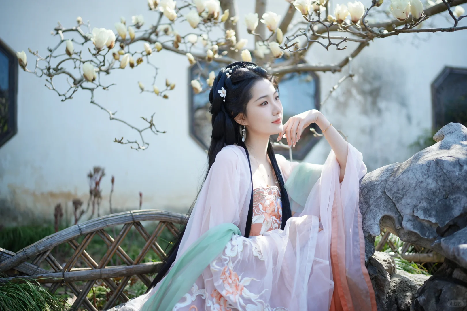 皎皎玉兰花，不受缁尘垢