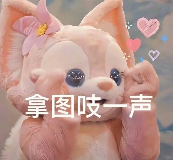 小众iPad壁纸🌿