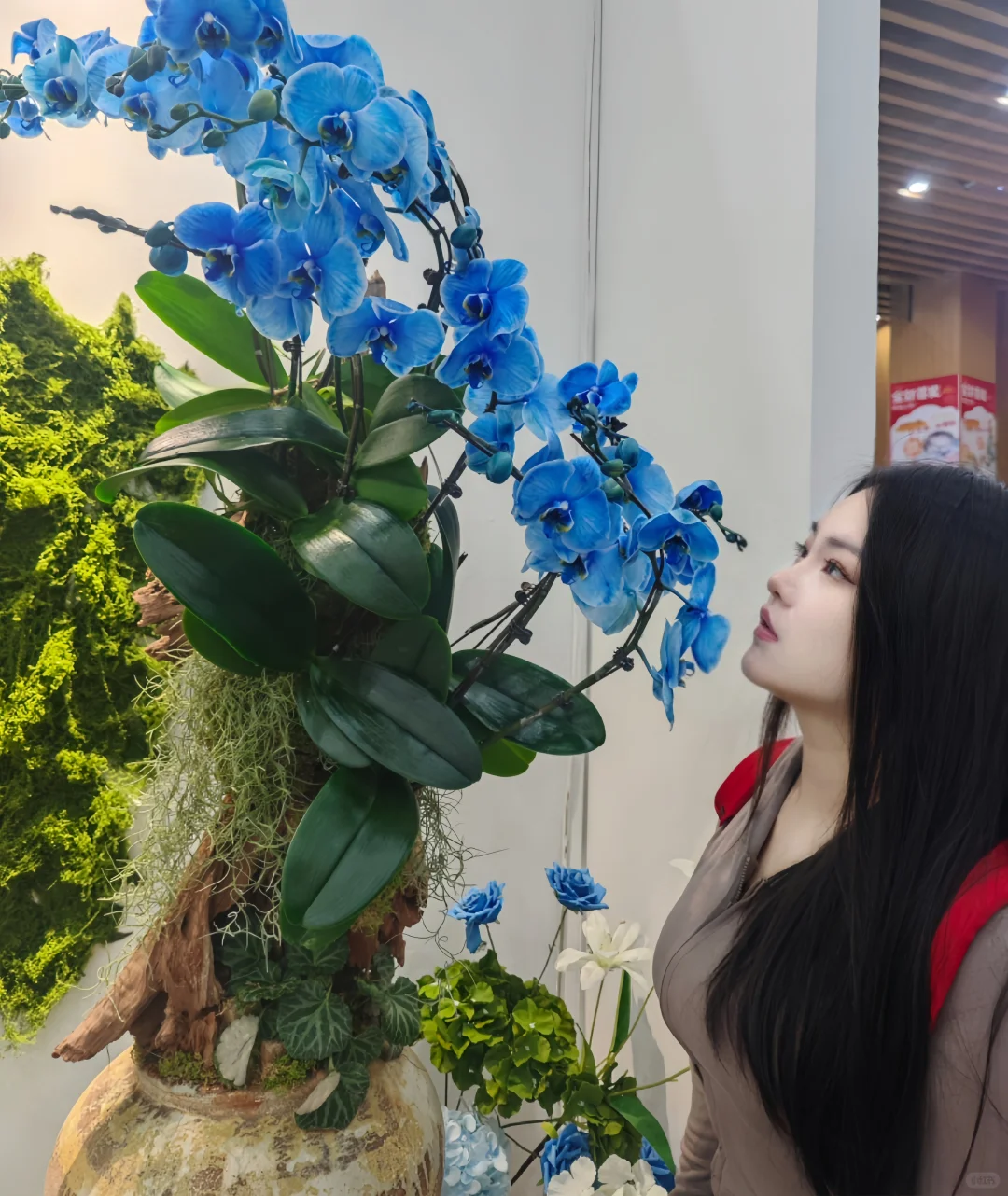 你又见过几个我