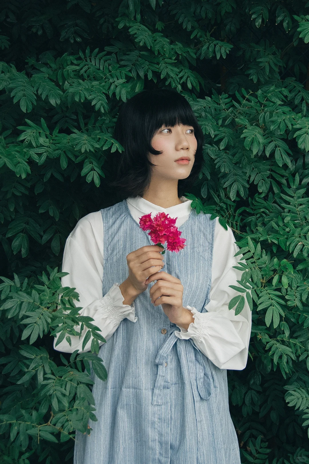 日系情绪｜少女的心事散落在绿荫里