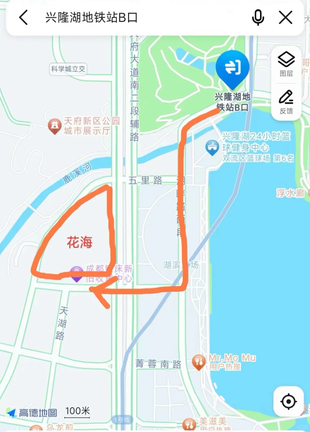 成都市区🚇地铁直达——虞美人盛开的山坡
