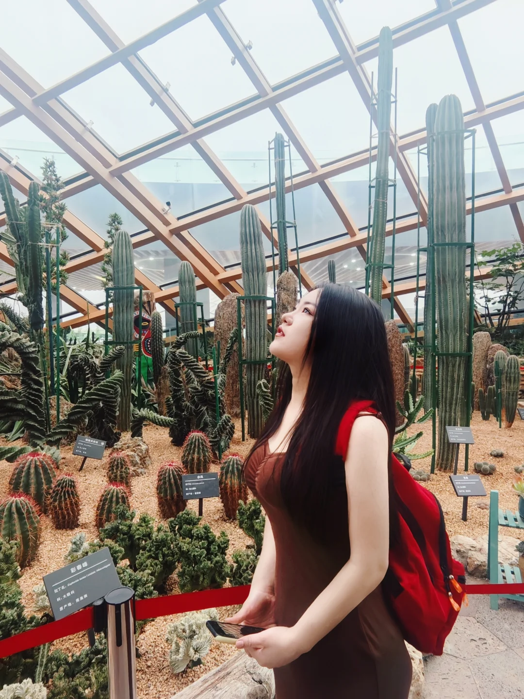 你又见过几个我