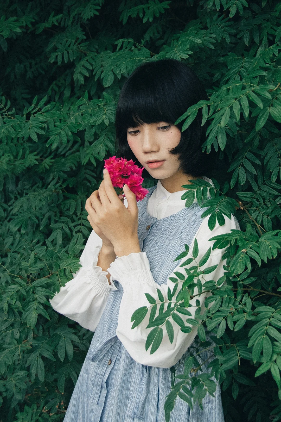 日系情绪｜少女的心事散落在绿荫里