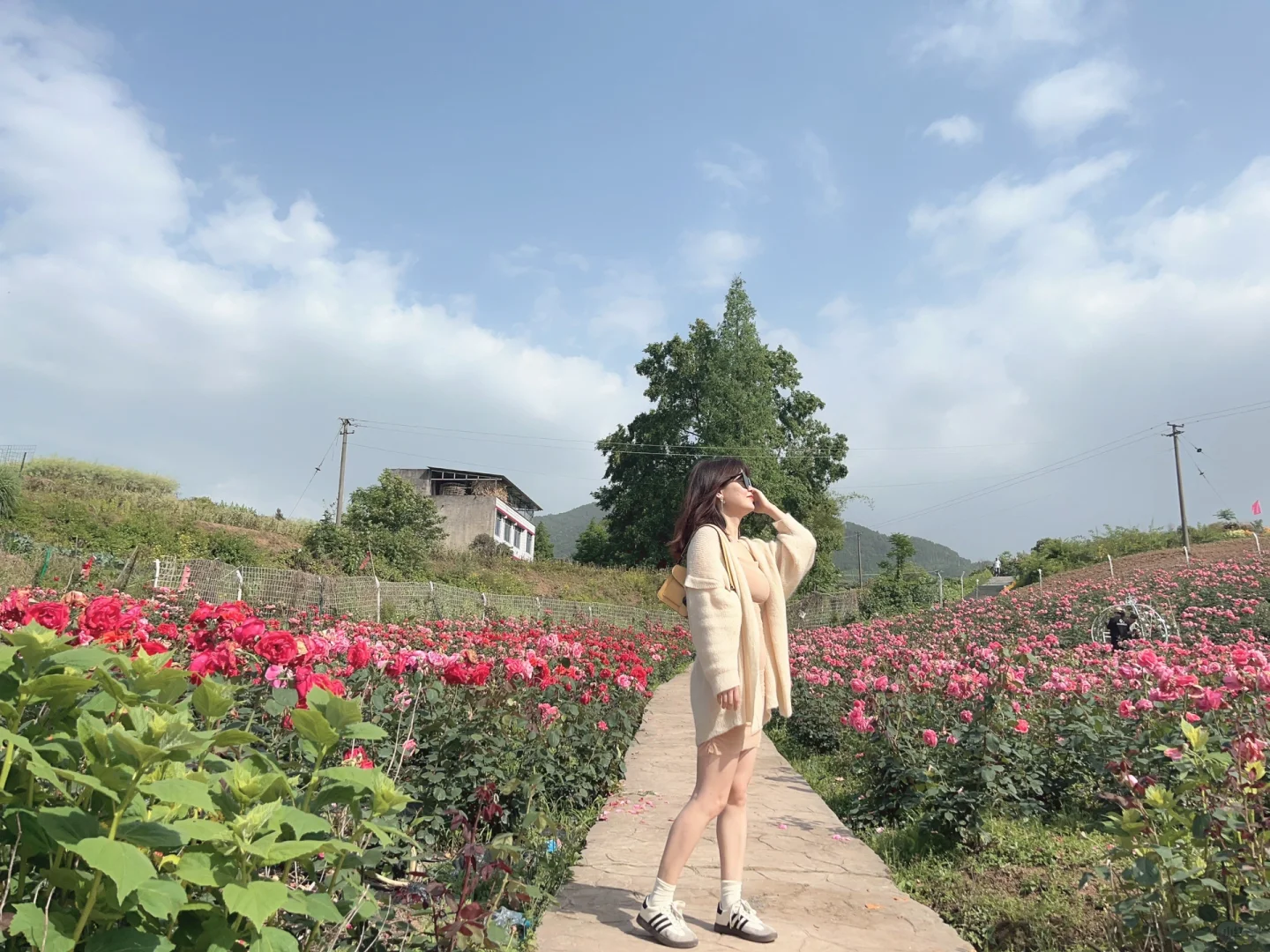 罗女士嫩模裙来咯