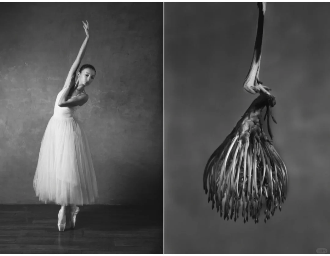 《Ballerina and Flowers/芭蕾舞者与鲜花》
