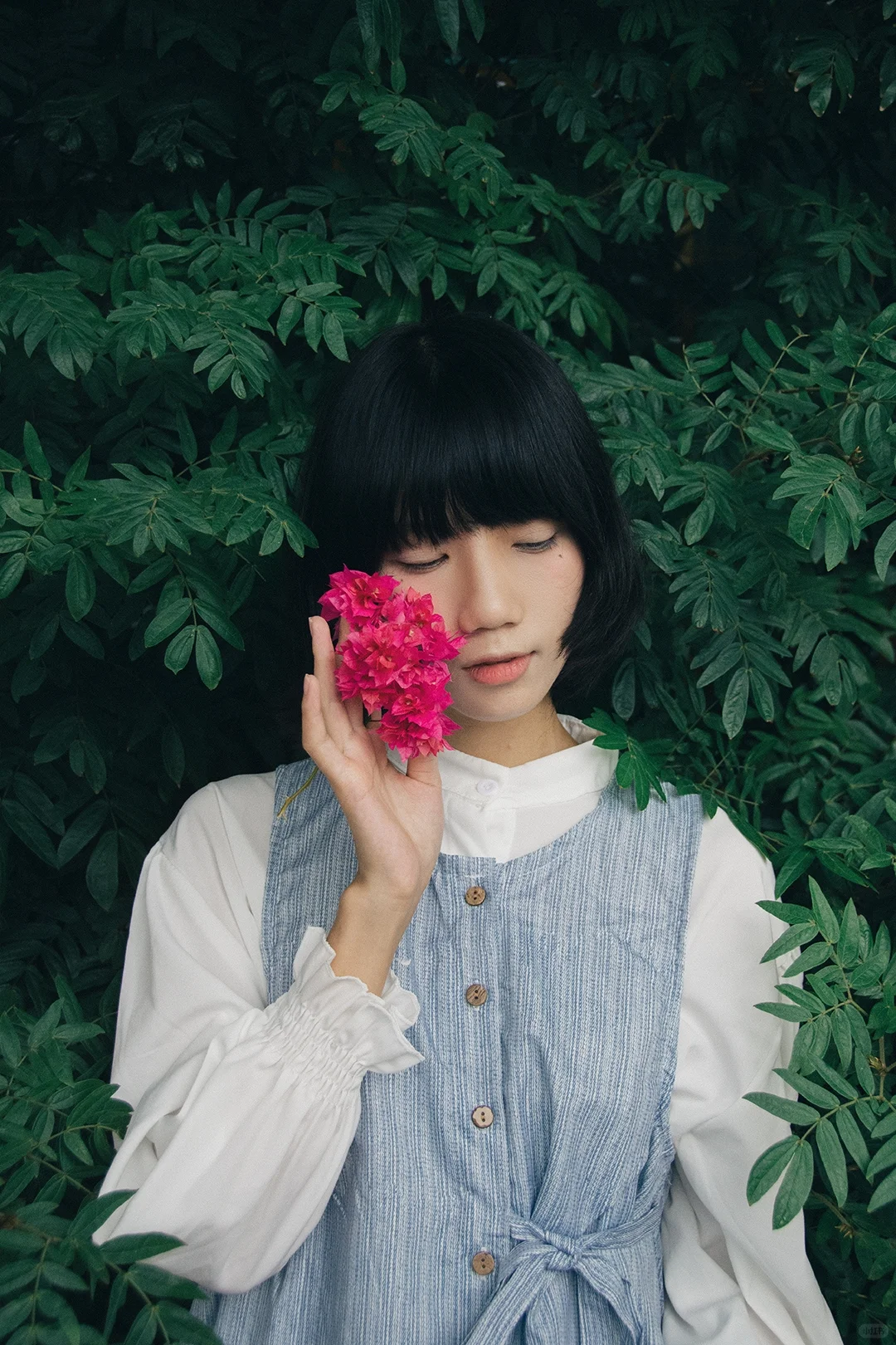 日系情绪｜少女的心事散落在绿荫里