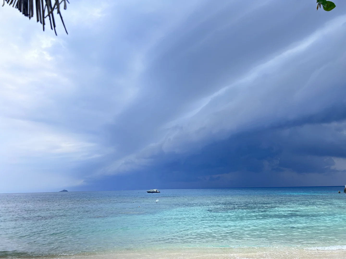 活得像海自由像风🌴🌊👙