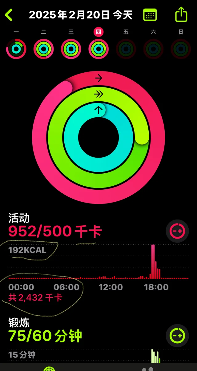 这个圆环是怎么看的呀