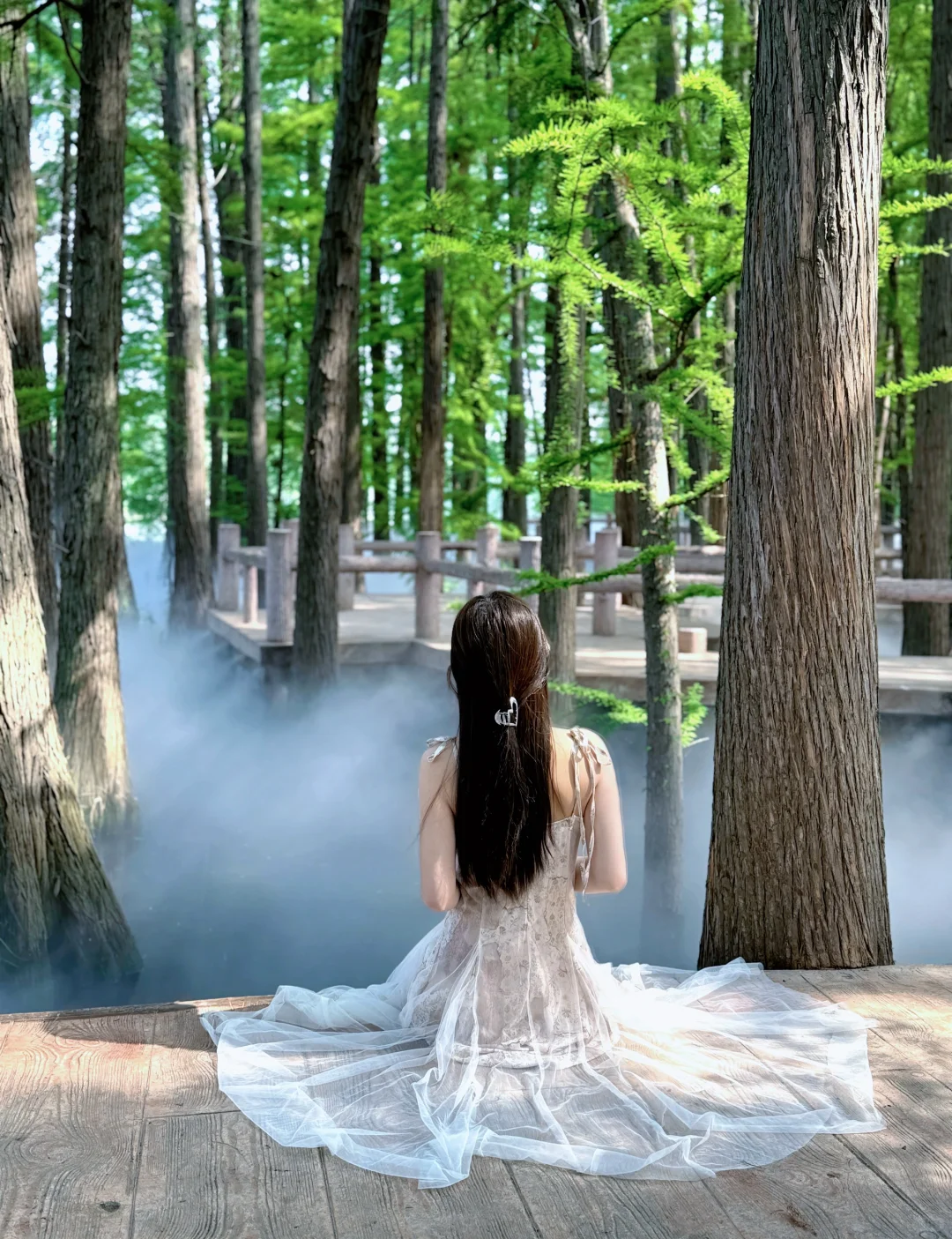 误入松柏森，如入仙境🌲