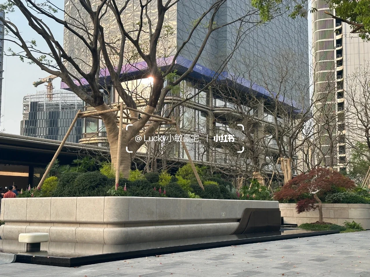 马伊琍也来看绿城朝鸣东方，275-285-320可约