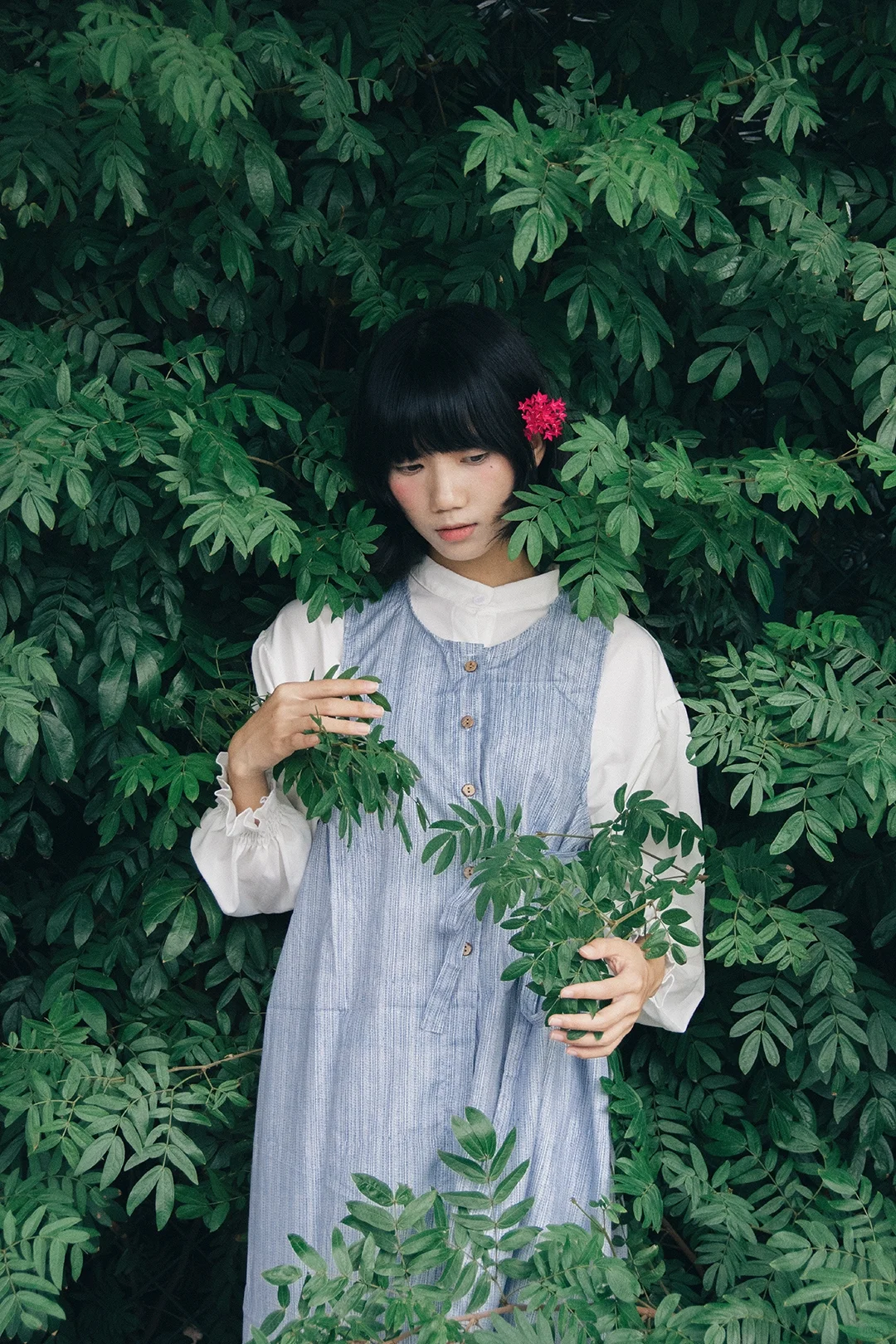 日系情绪｜少女的心事散落在绿荫里