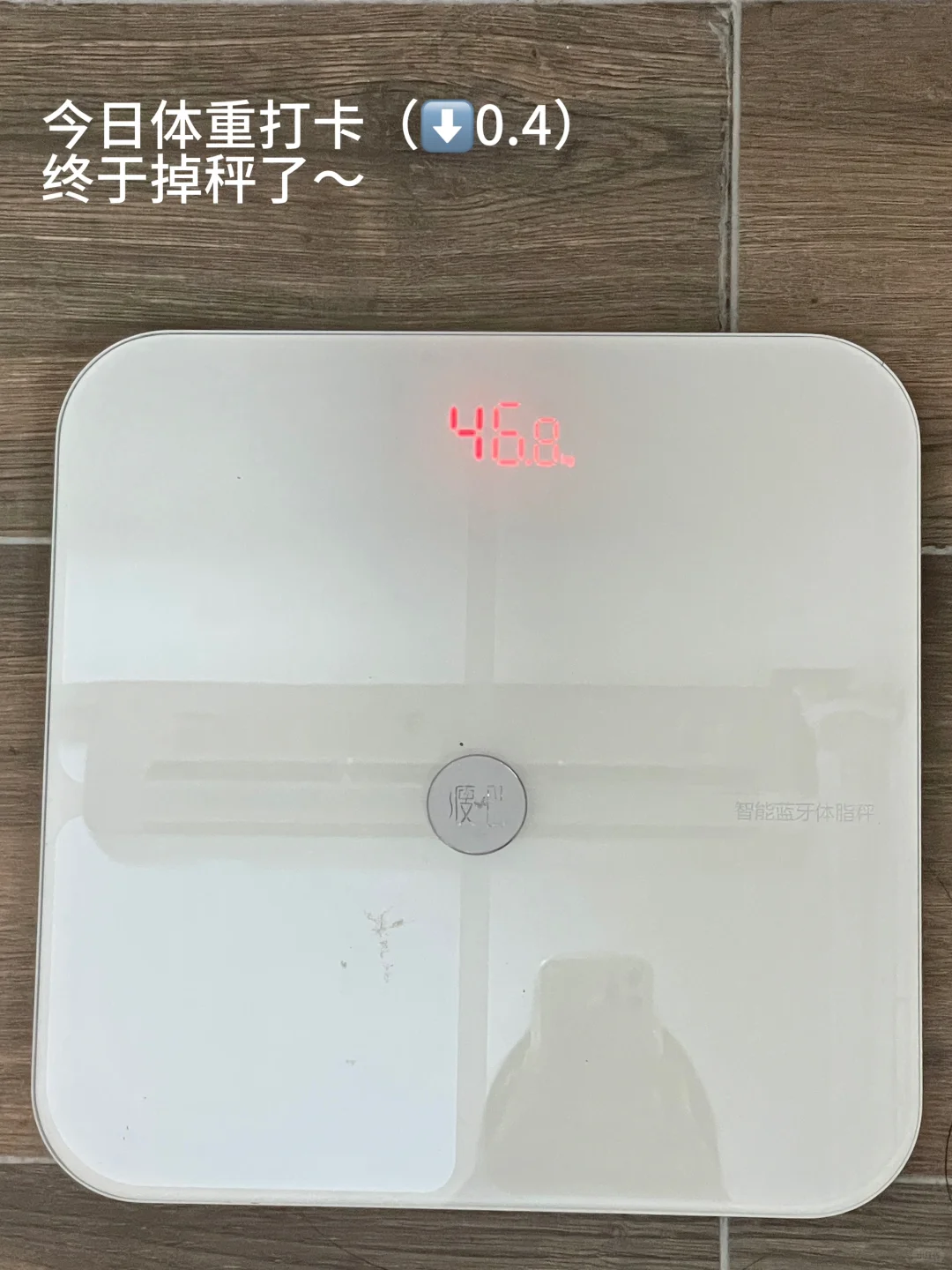 在家减肥照样掉秤！看我怎么吃|摄入1345kcal