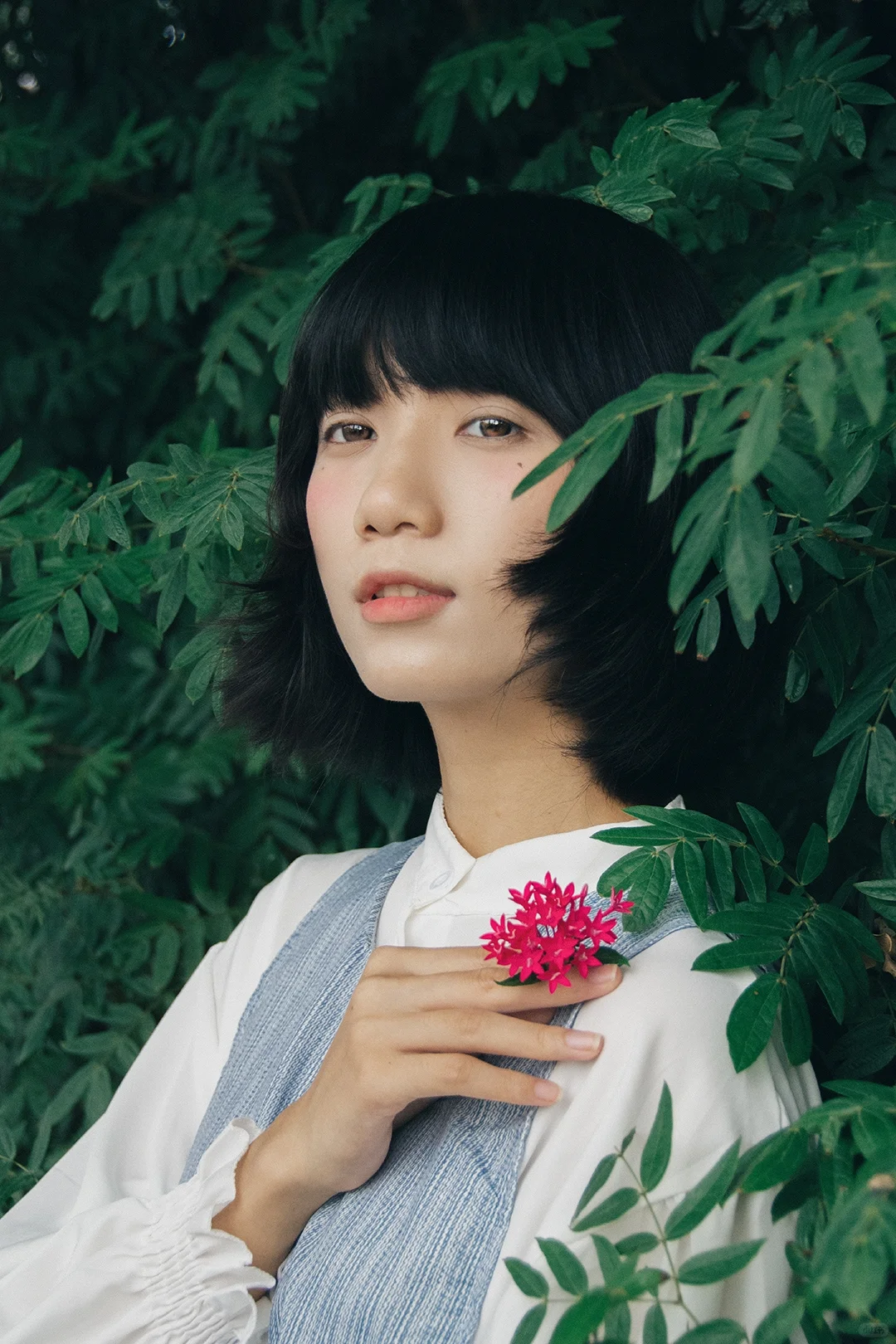 日系情绪｜少女的心事散落在绿荫里
