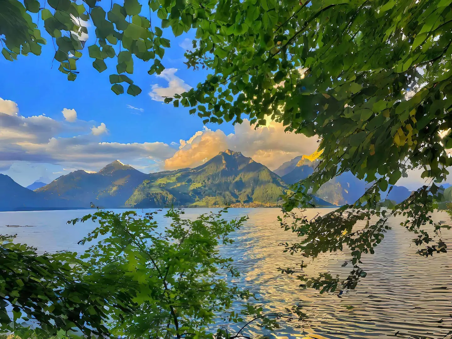 超绝电脑壁纸分享🏞️