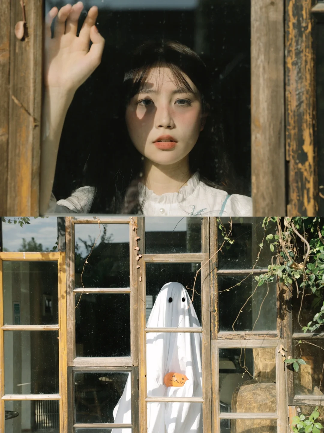 孤独而灿烂的鬼怪👻｜pyq说我拍了部电影！