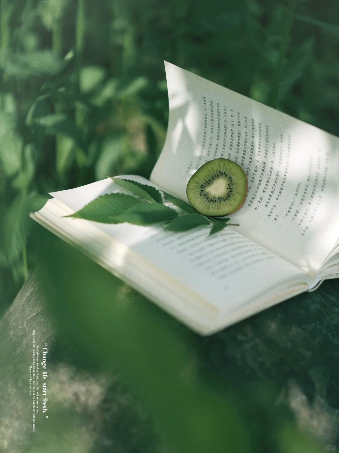 我的夏天像电影｜森系电影感绿调🥝公园拍照
