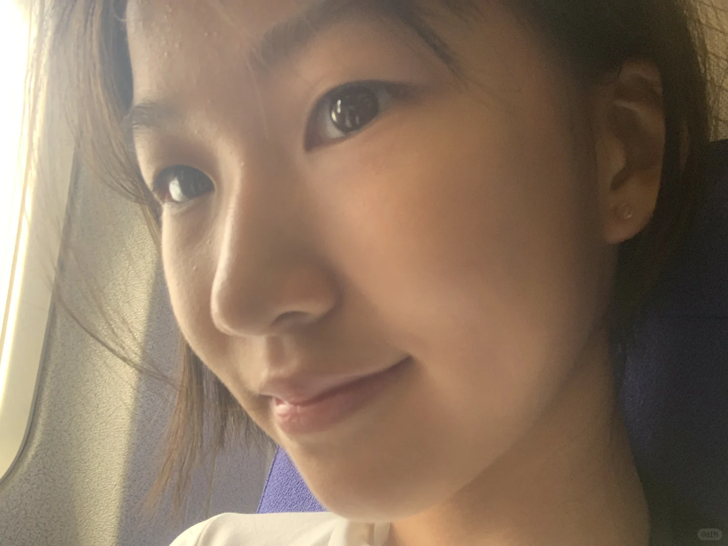 因瑕而玉