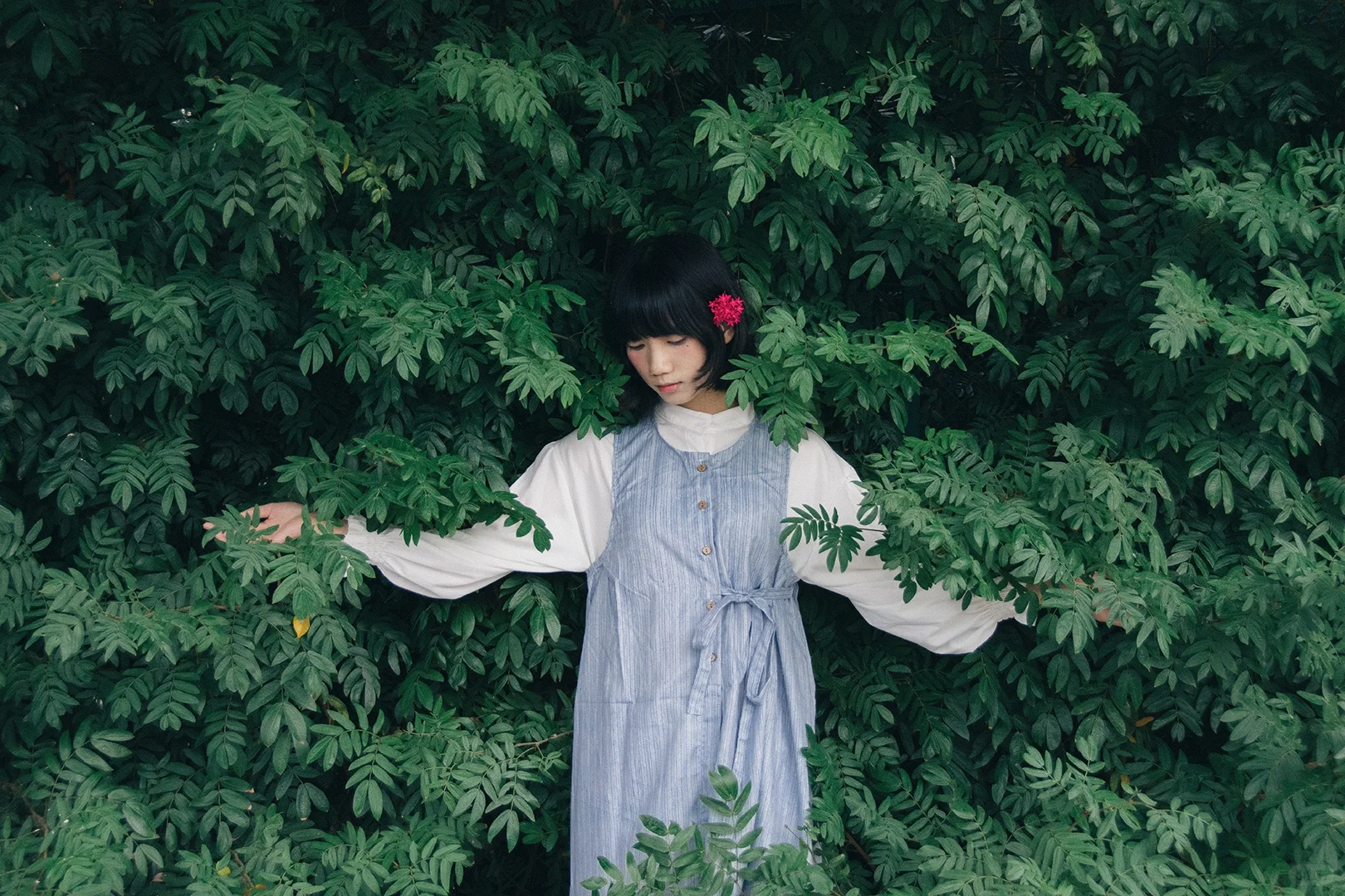 日系情绪｜少女的心事散落在绿荫里