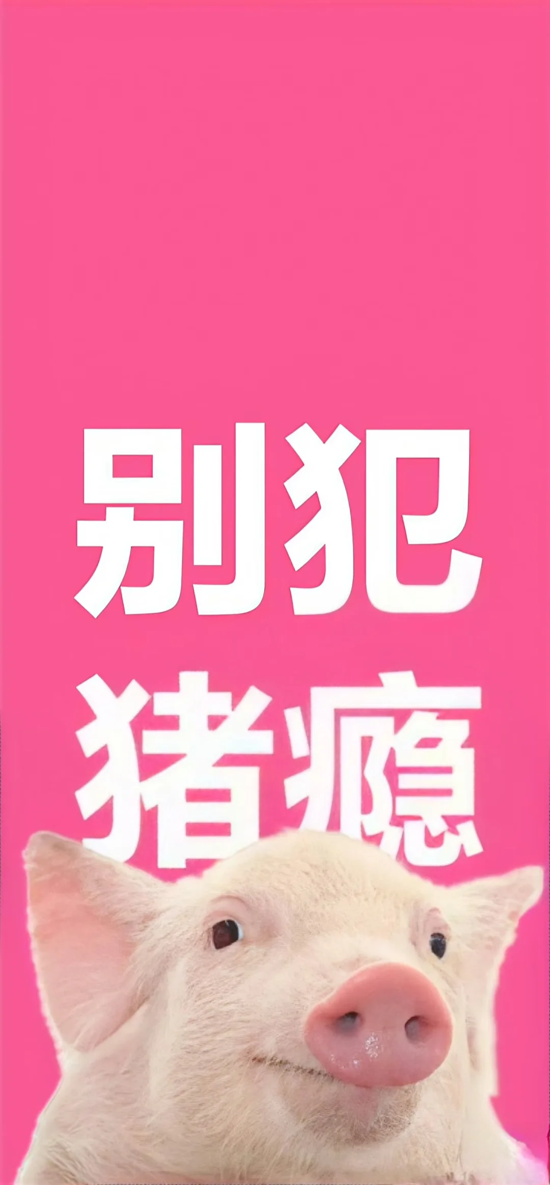 我用过的那些壁纸he背景🤫