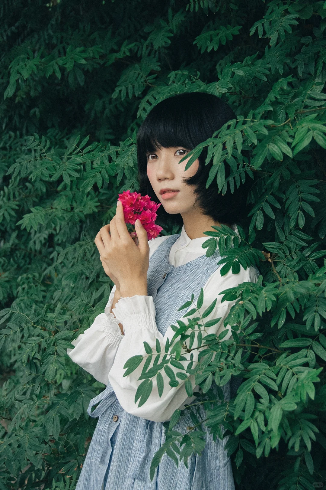 日系情绪｜少女的心事散落在绿荫里
