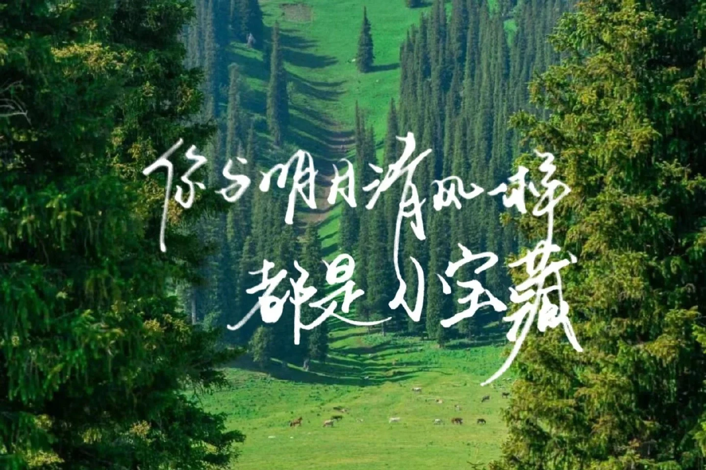 考研考公上岸必备励志 ipad高清壁纸