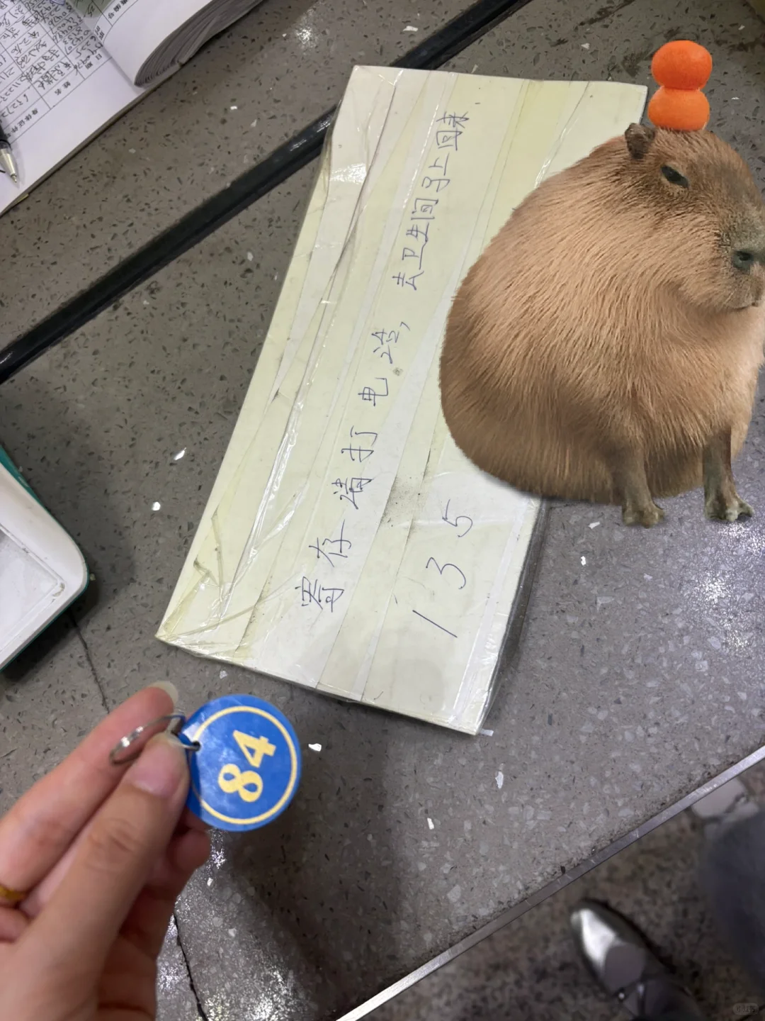 撸铁粉们注意，沈阳站也要转‼️