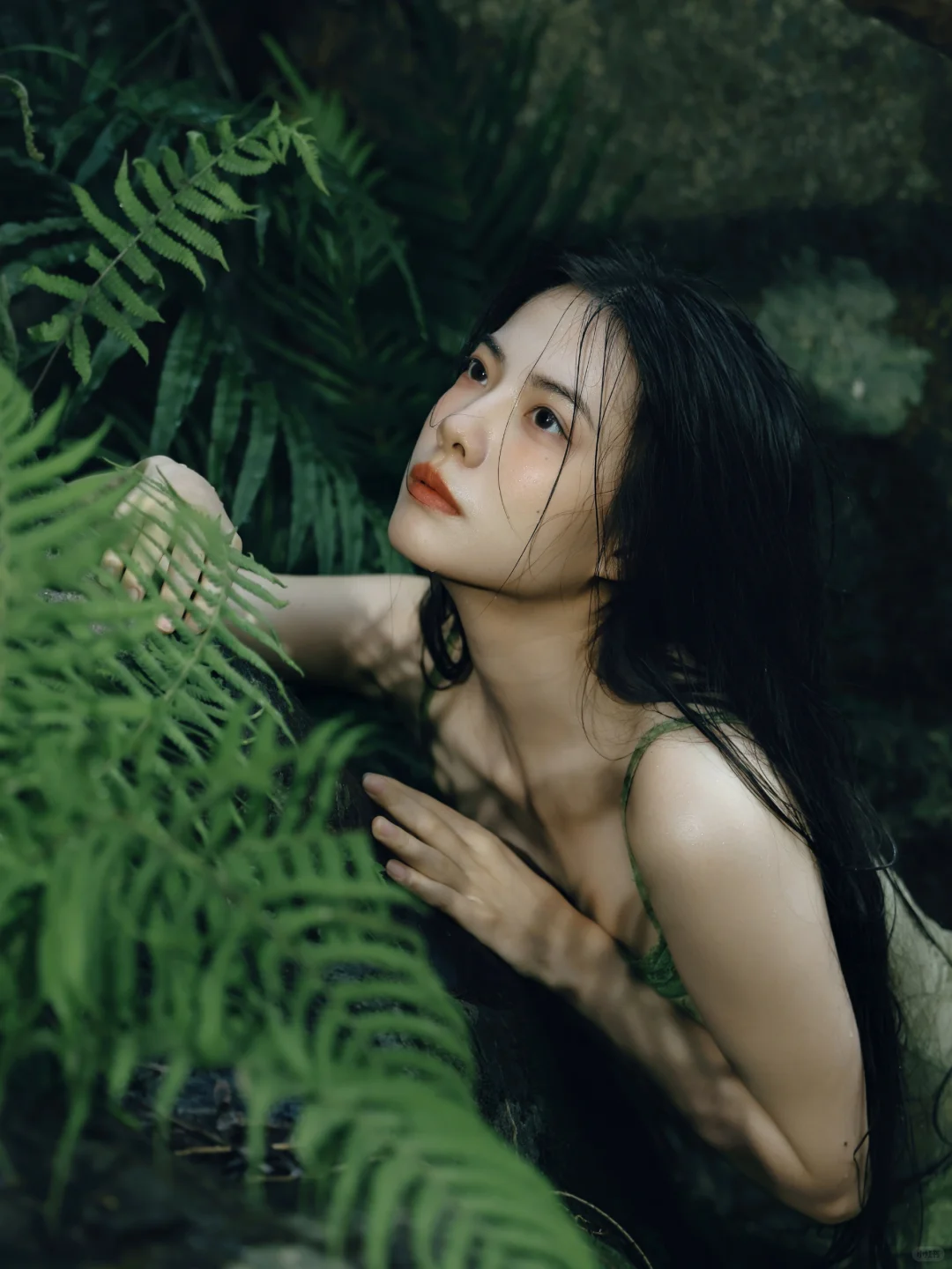 自然是我的脉搏