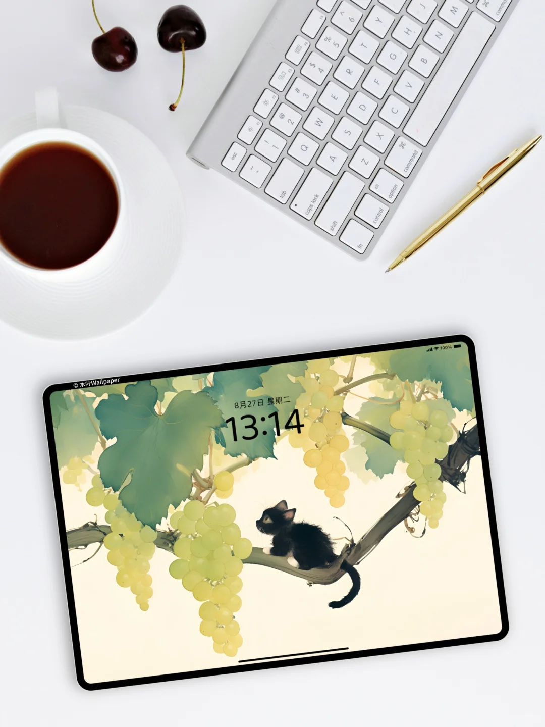 葡萄与猫｜P094