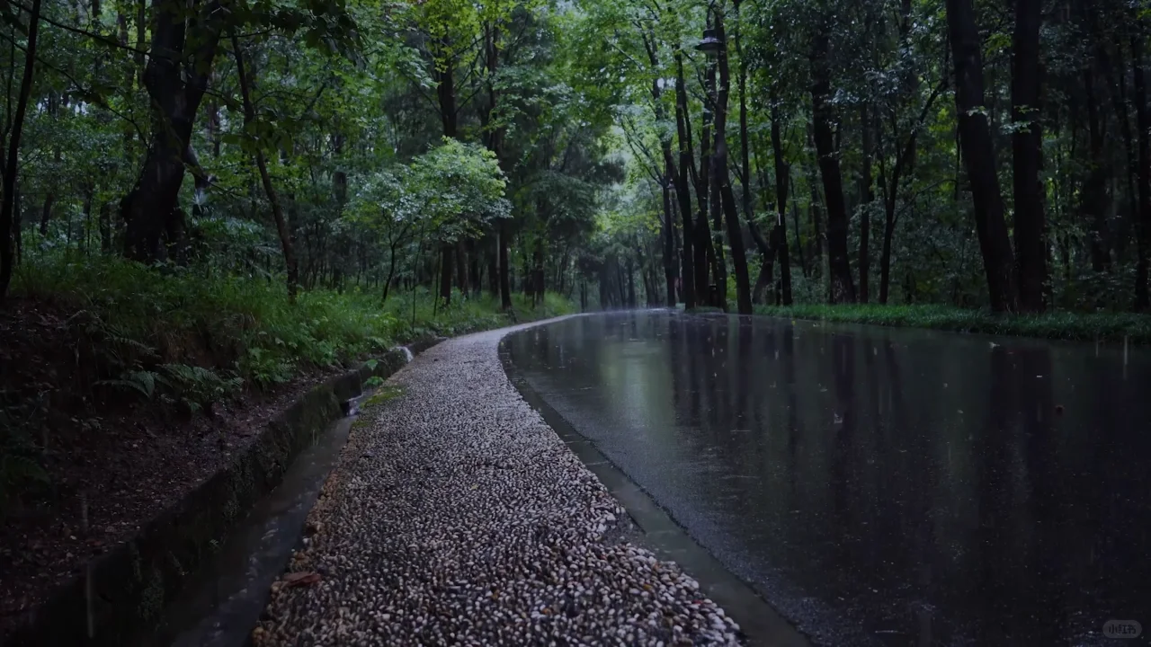 Wallpaper Engine 壁纸分享【阴雨】