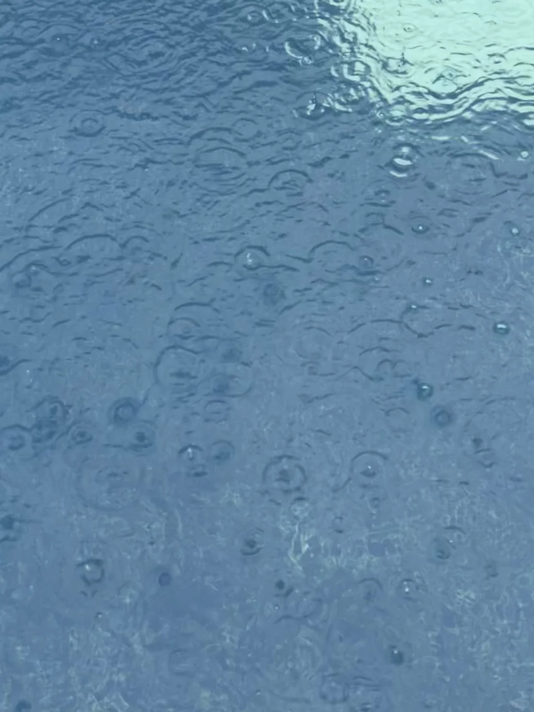❗️谁懂啊雨天泳池的快乐