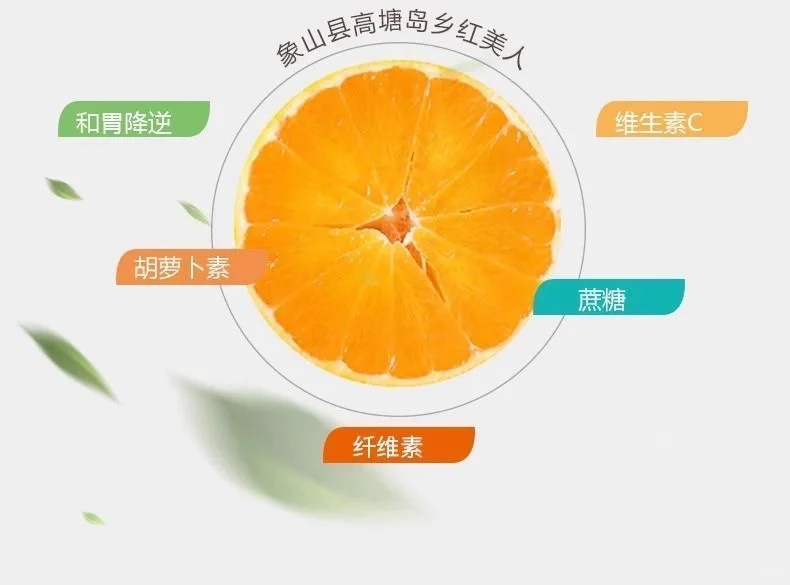🍊超甜象山红美人柑橘来袭🔥