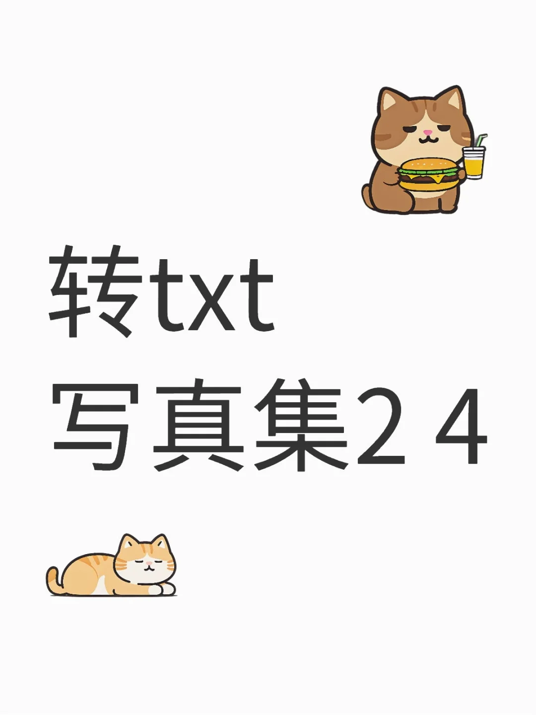 🈚️转txt写真集2 4