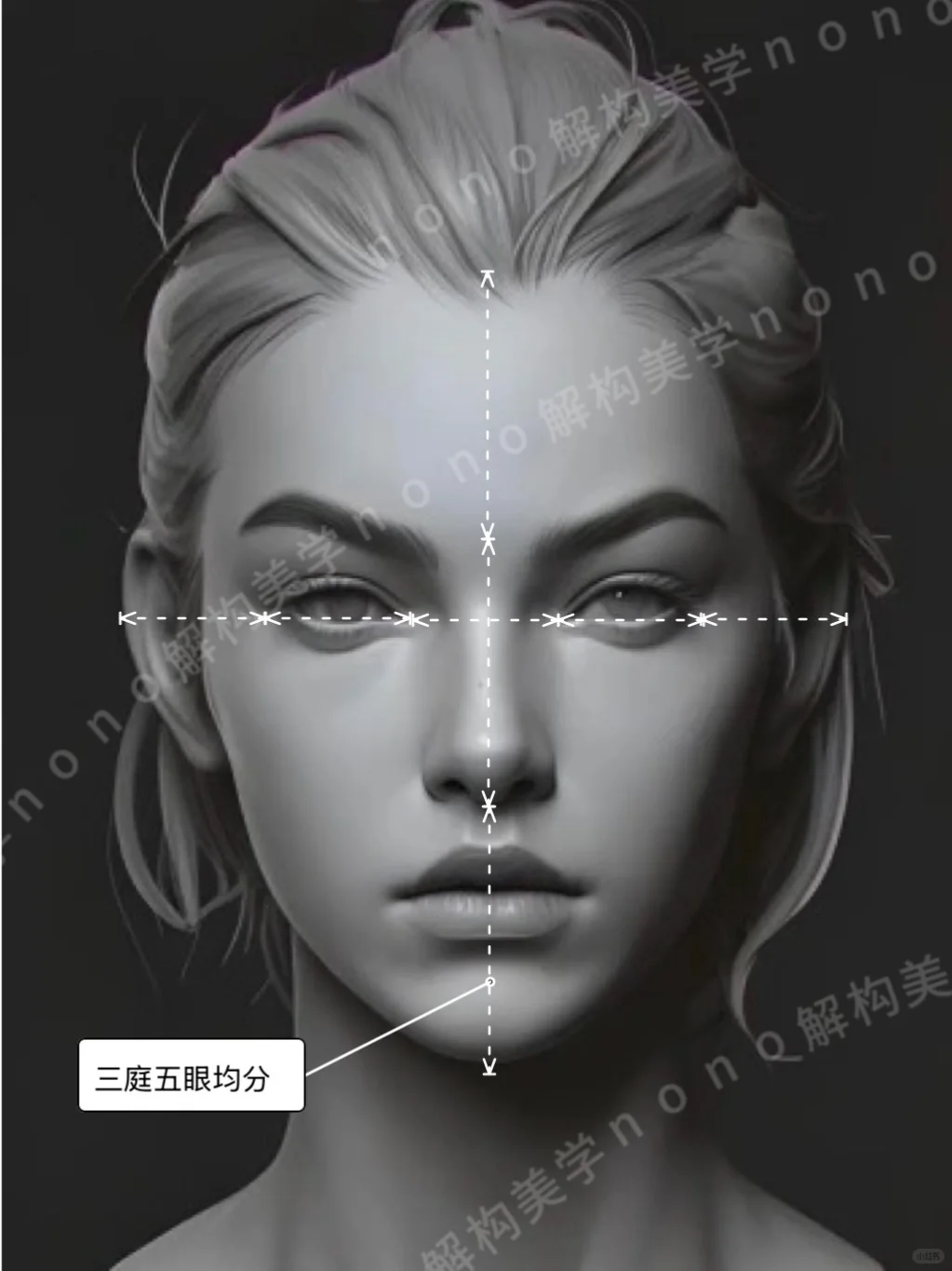 面部比例不止三庭五眼