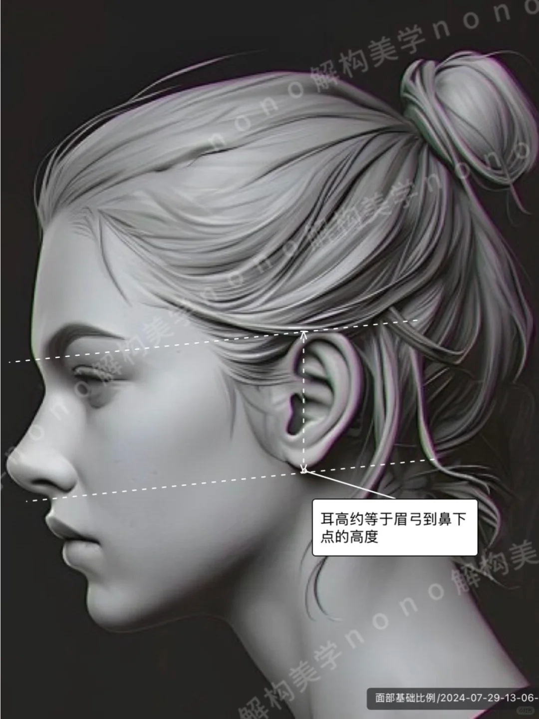 面部比例不止三庭五眼