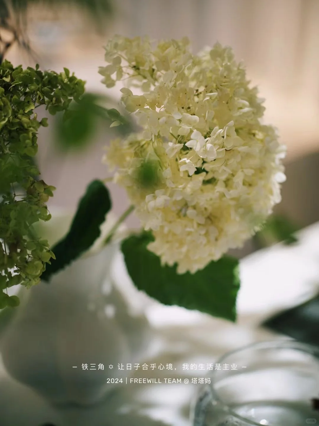 妈耶，这是我见过蕞优秀的答案
