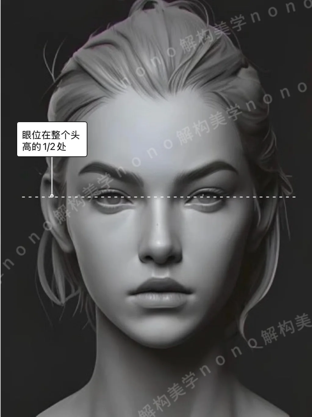 面部比例不止三庭五眼