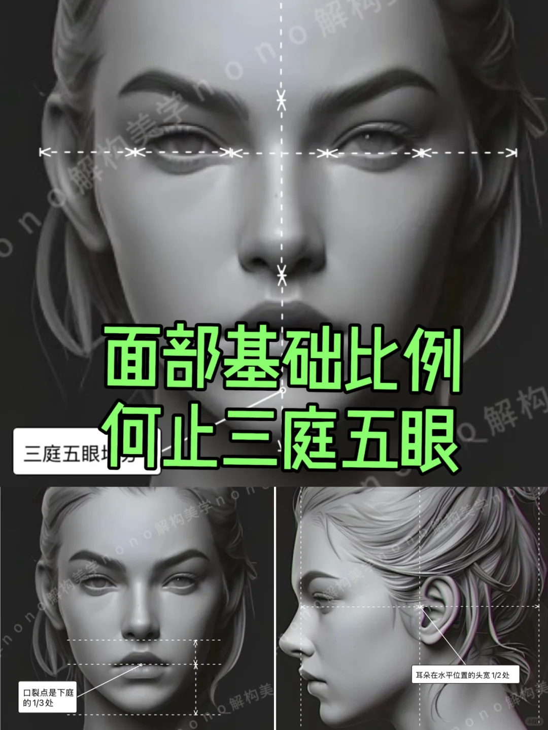 面部比例不止三庭五眼