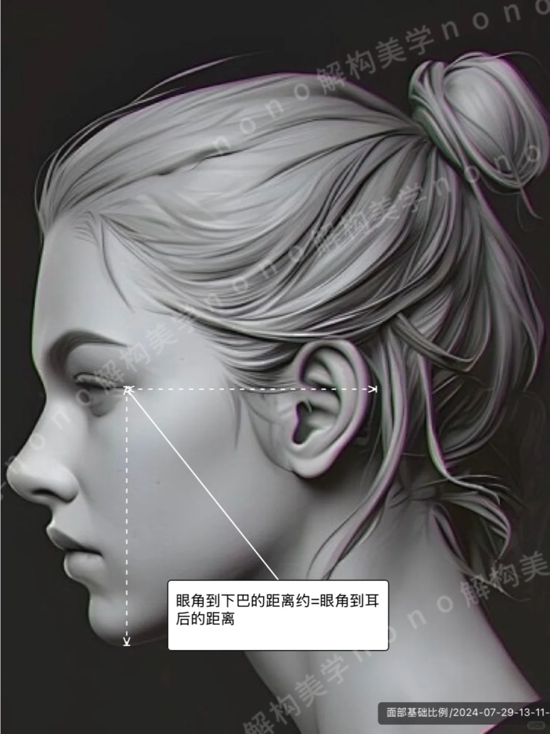 面部比例不止三庭五眼