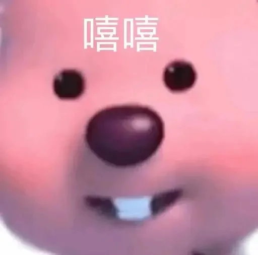loopy露比好用的表情包整理