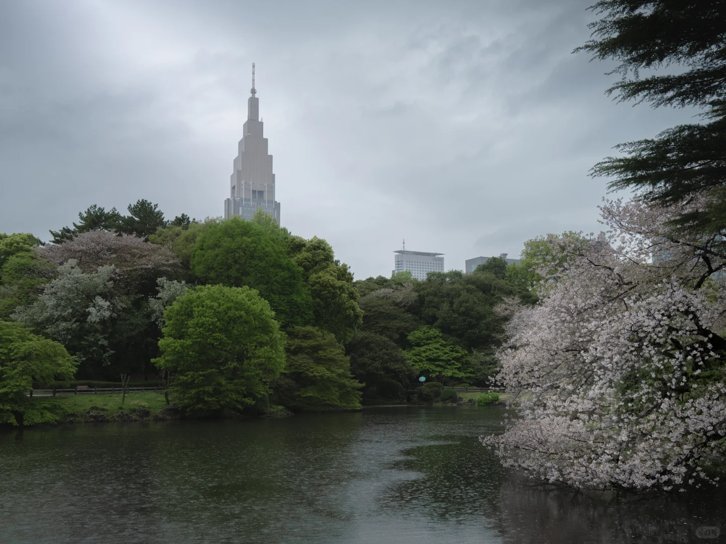 新宿御苑&写真集食堂