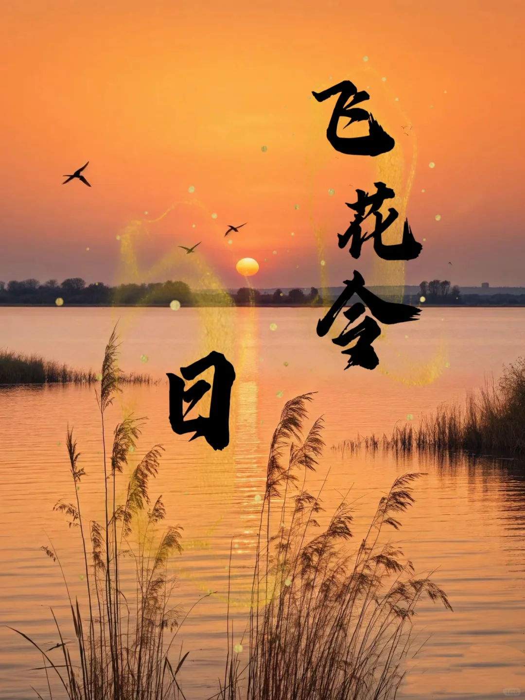 飞花令｜日