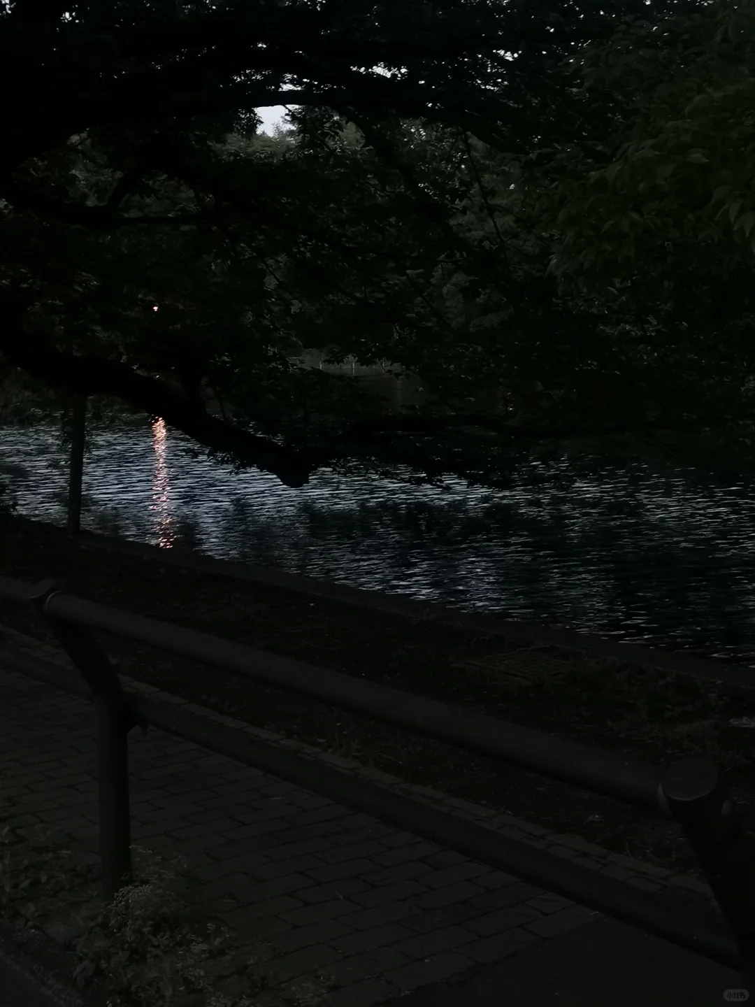 旧书店.写真集。