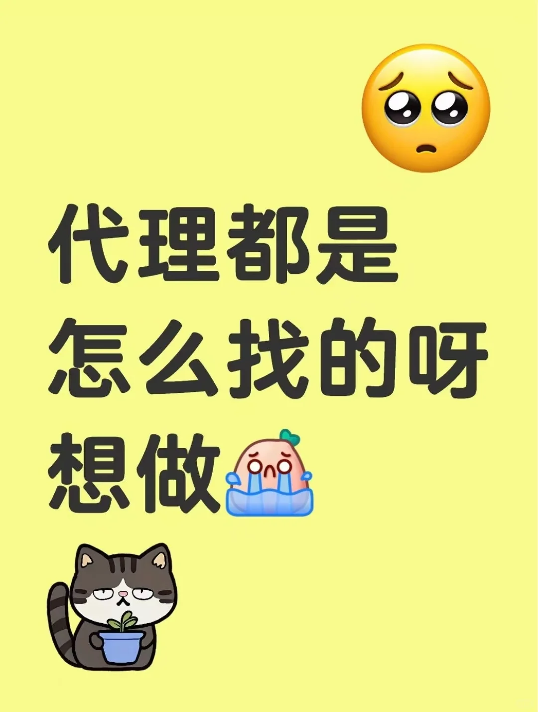 求推荐！！