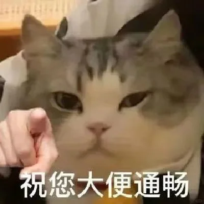 超可爱又实用的猫猫表情包！
