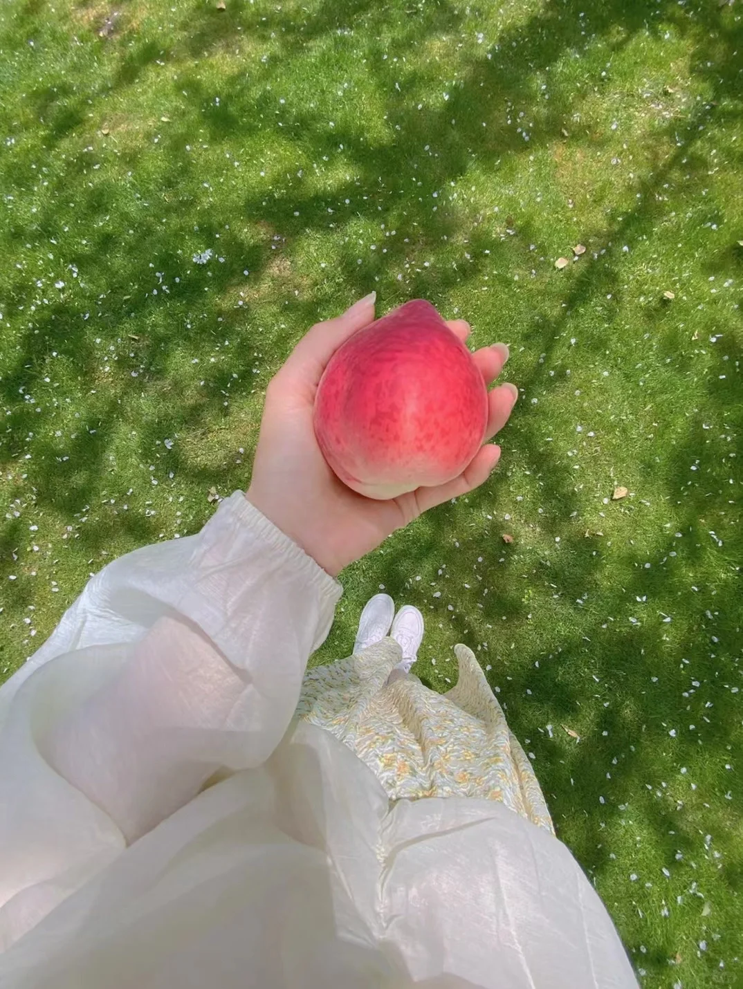 Date22/07/27 | 壁纸