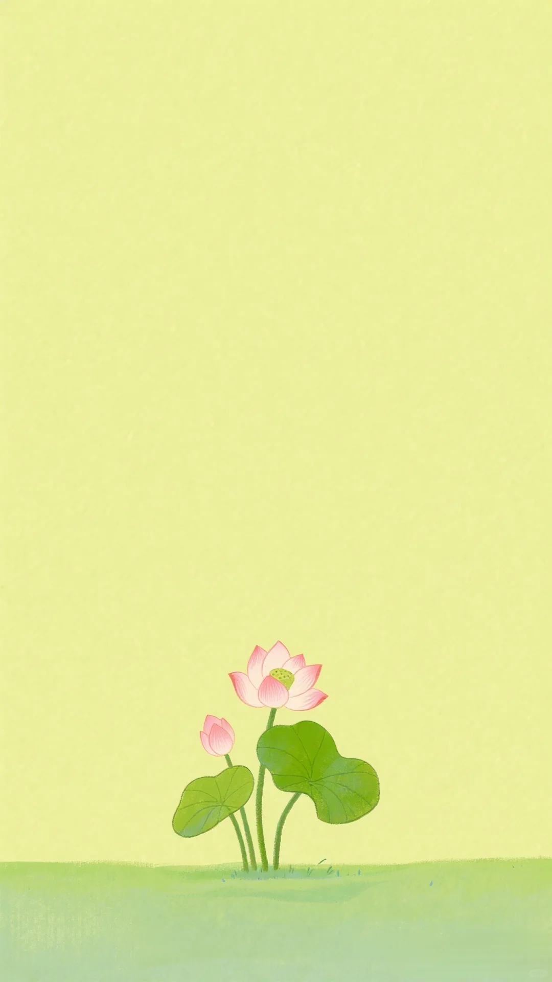 简约壁纸┋纯色背景图