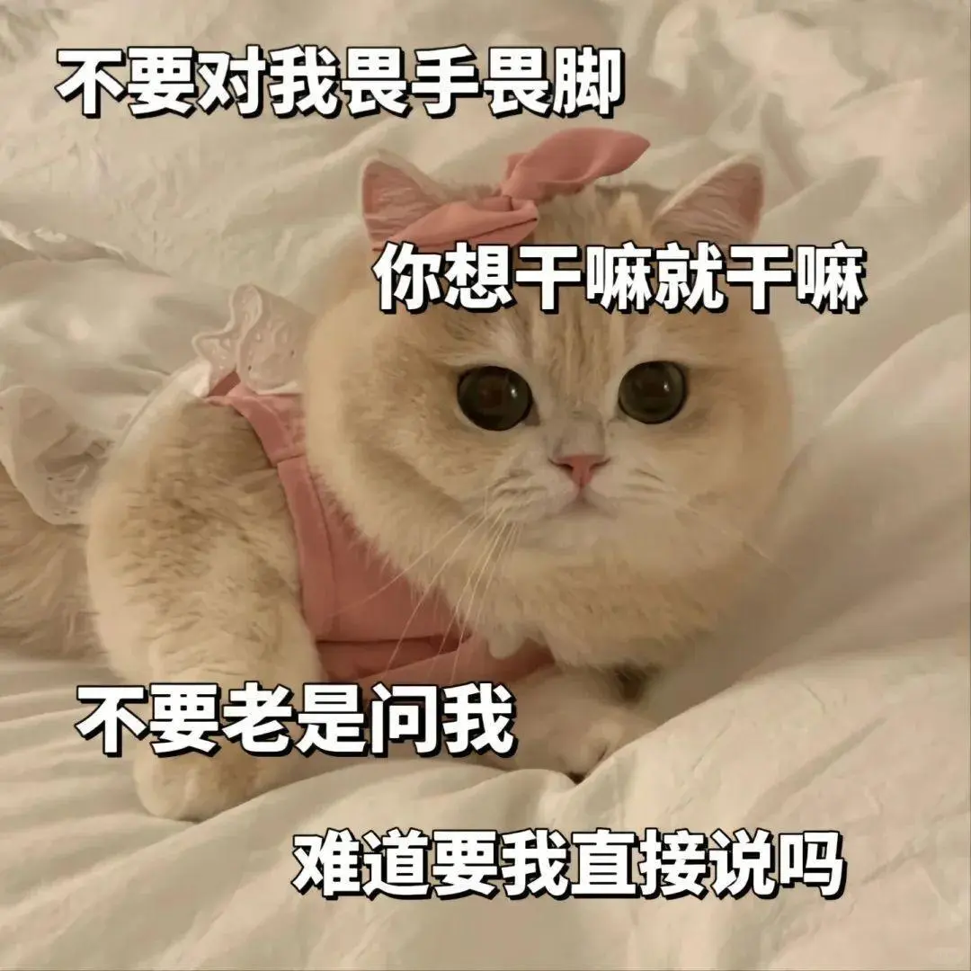 可爱猫猫，疯狂调戏勾引 🔞